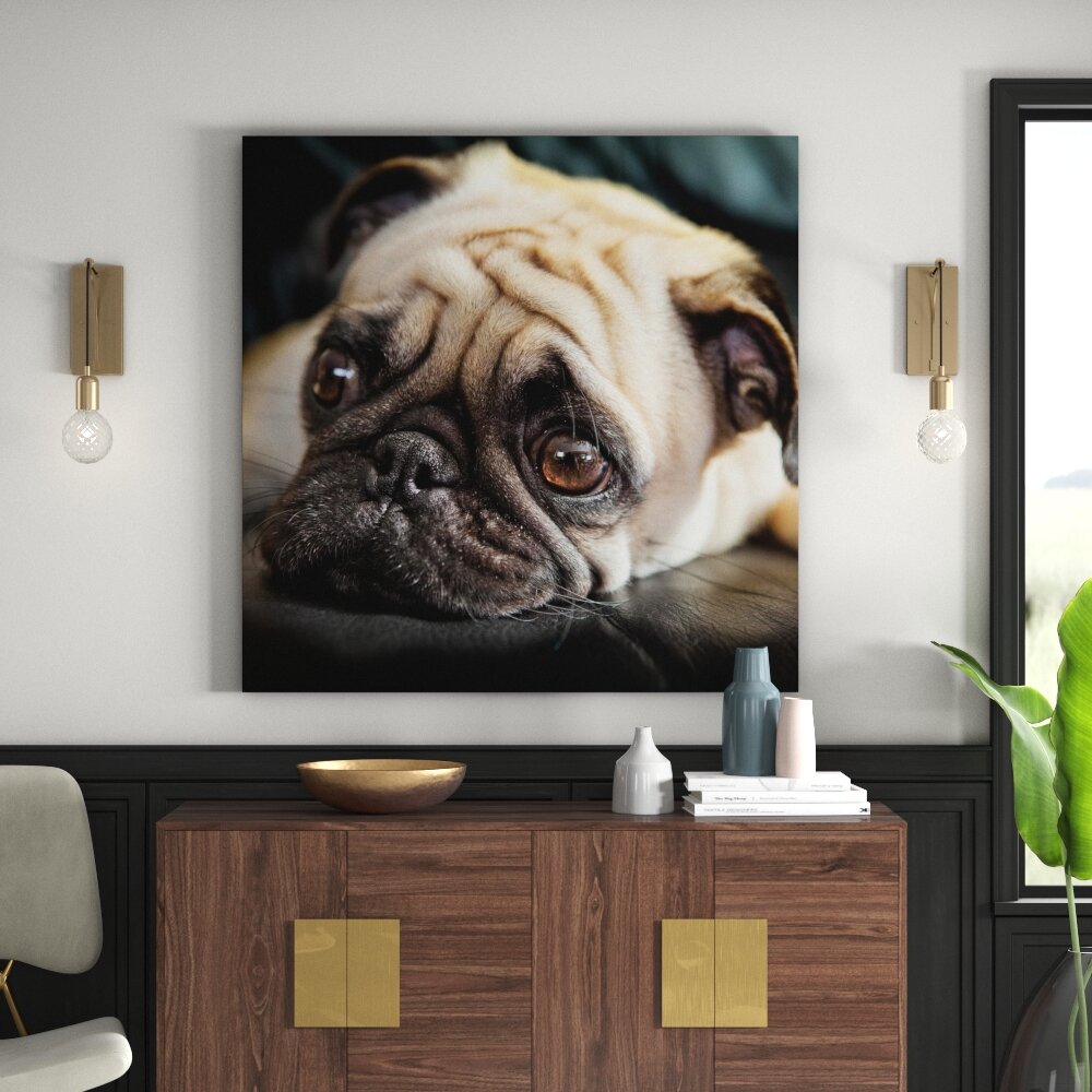 Leinwandbild Pensive Pug