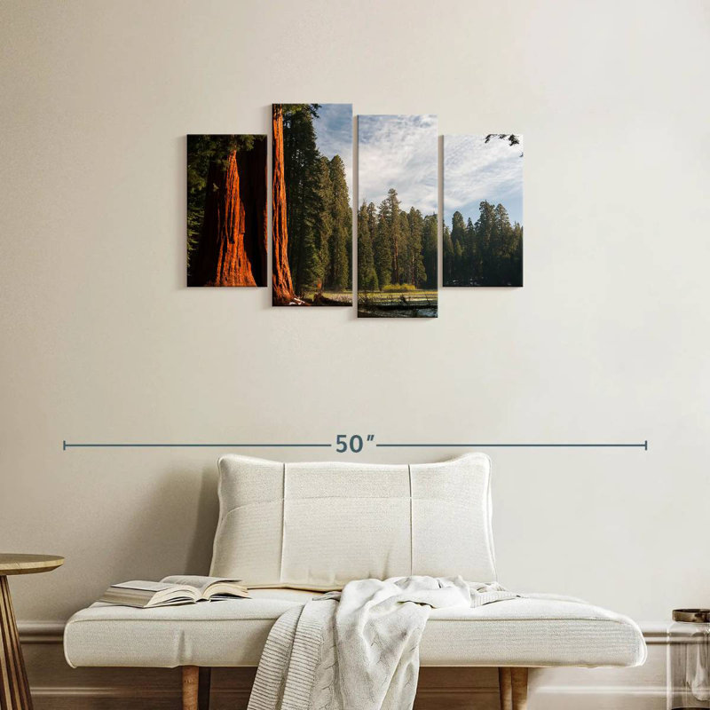 Kings Canyon Sequoia Trees, H 22 po x l 36 po