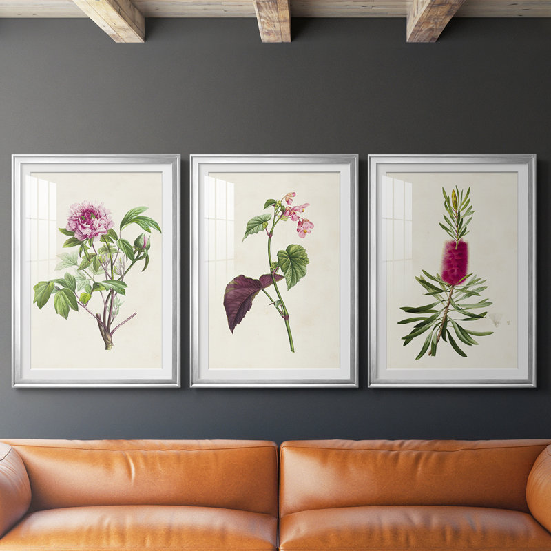 «Pretty Pink Botanicals» - Impression encadrée sur mesure de qualité supérieure - 3 pièces, Argent argent, H 27 po x l 39 po