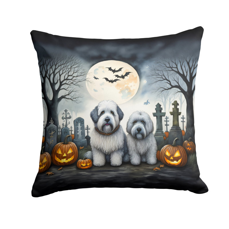  Housse et insert de coussin décoratif en polyester, 14 po x 14 po