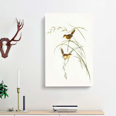 Exile Warbler by Elizabeth Gould - Wrapped Canvas Painting