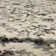 Castor Cream Ornamental Medallion Area Rug