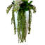 5.25' Orchid and Cactus Arranged in Fiberstone Planter