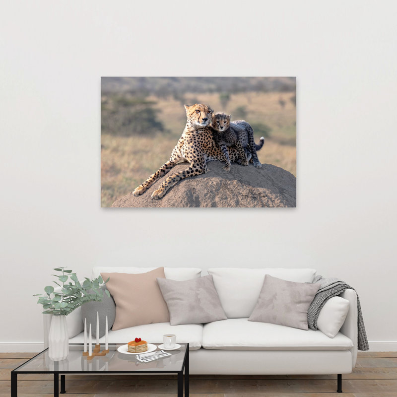 Mother Cheetah And Cub Contemporary Cat Animal Nature Wall Art Print, 101.6cm H x 152.4cm W