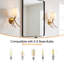 Iron Armed Sconce