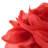 Simulation Rose Flower Throw Pillow Decorative Round Floral Accent Pillow Cover & Insert-1408856974-1408856963