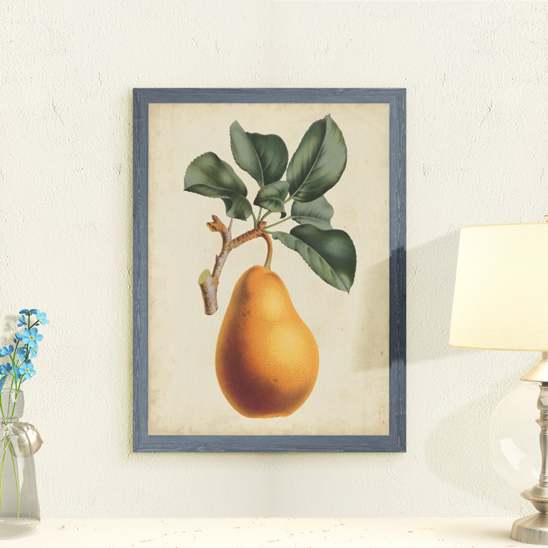 Poire antique botanique i-reproduction d’art encadrée, H 32 po x l 44 po x P 1,3 po, Toile avec cadre gris