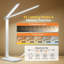 Metal.plastic Desk Lamp
