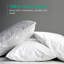 Insert de coussin décoratif décoratif en duvet de plumes avec housse en coton (ensemble de 2)-102250140-132521331