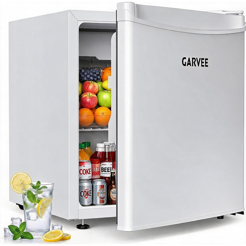 FXSGER Mini Fridge