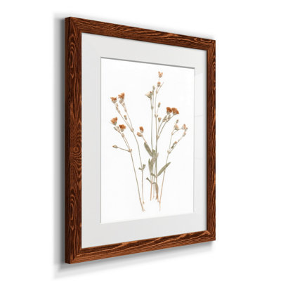 " Pressed Botanical I "