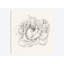 V, impression sur toile tendue Pen And Ink Florals-74759943-74758386-19753875