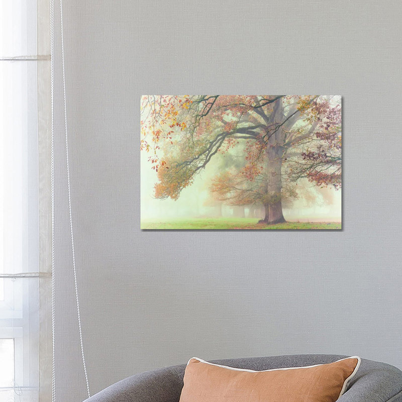 The Lonely Oak by Philippe Manguin - Wrapped Canvas Print, 66.04 cm H x 45.72 cm W x 3.175 cm D