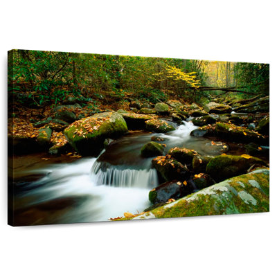 Alvord Mossy Forks River