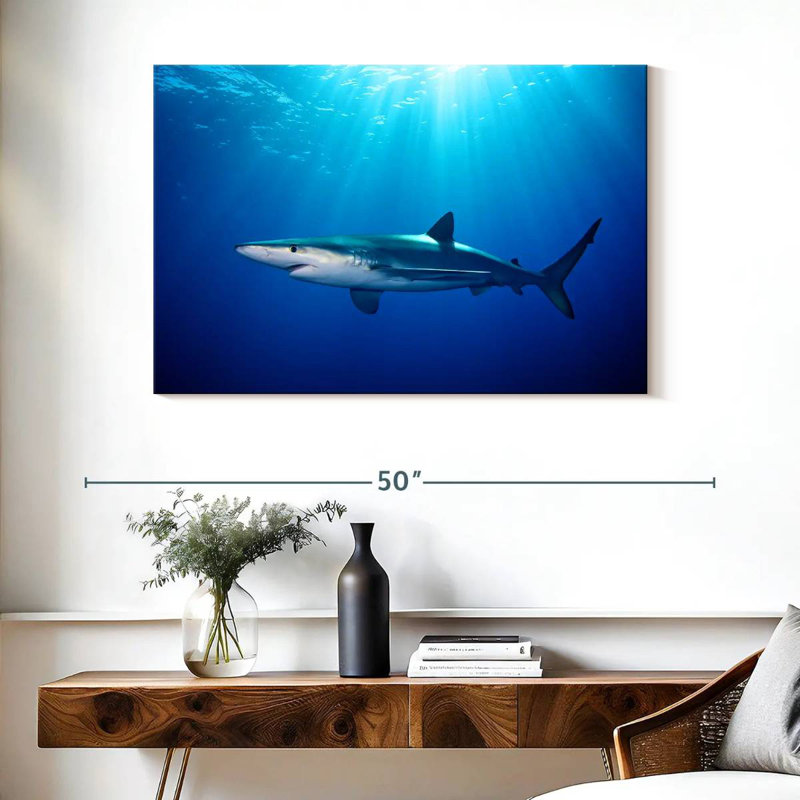 Requin bleu Brampt à Gordon's Bay, H 26 po x l 39 po