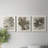 Birch Leaves I Painting Print on Canvas-689287024-689286990