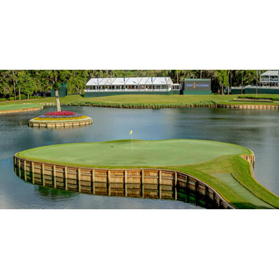 Golf Murals-Sawgrass Island