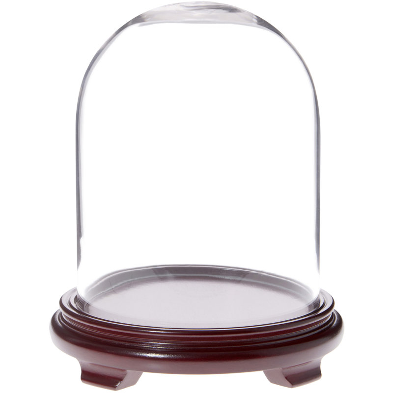 Cloche à dôme en verre 8 po x 10,25 po Keiser, Base en placage de bois rouge