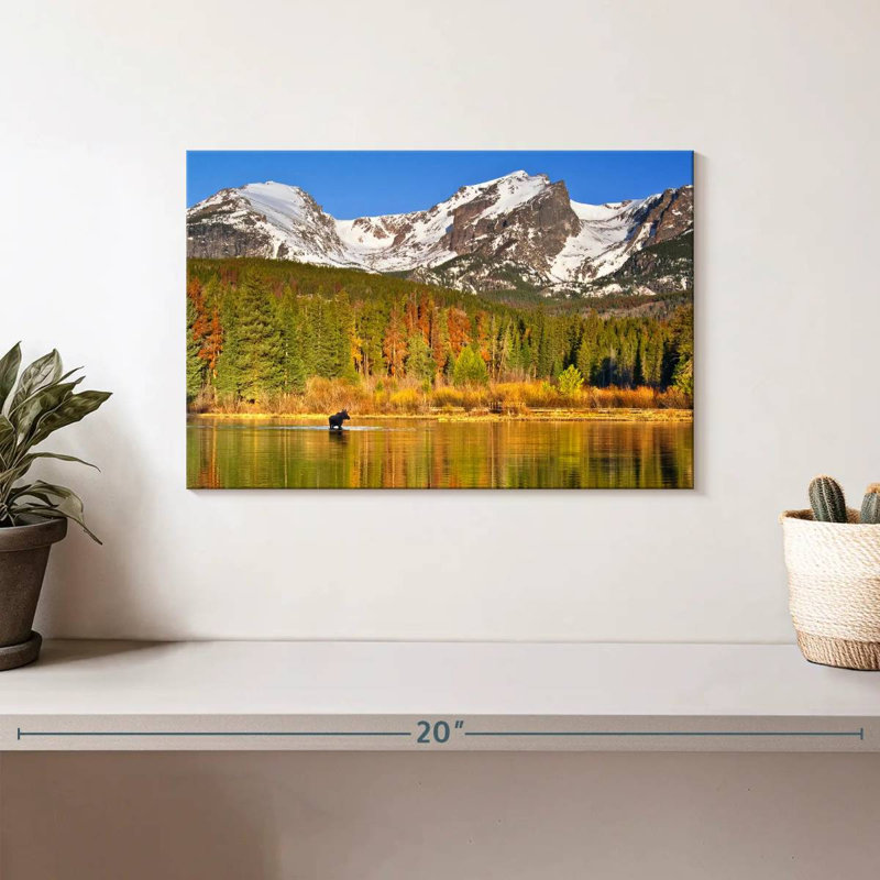 Moose Alvord Lake, Lakeside Moutains, H 8 po x l 12 po