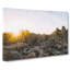 View Of Joshua Tree National Park - Wrapped Canvas-61852859