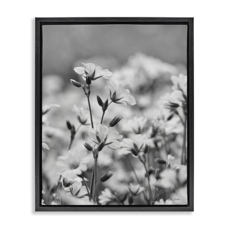 "Budding Meadow Flora", art mural sur toile flottante par Lori Deiter, Cadre flottant noir de jais, H 21 po x l 17 po