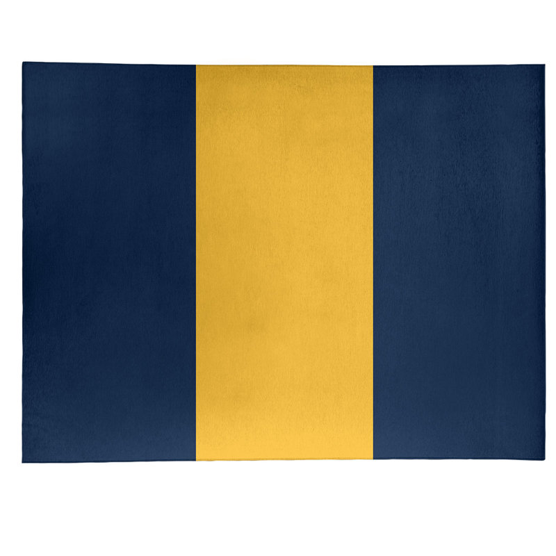 Tapis bleu à rayures NHS National Hockey, Rectangle 9 pi x 12 pi
