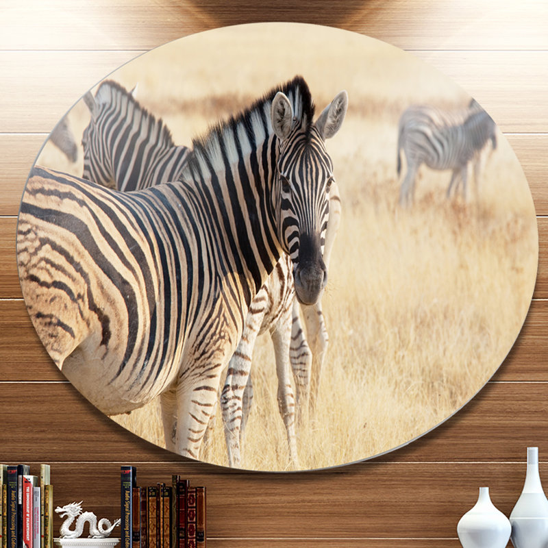 «Zebra in Etosha Wandering in Grass», reproduction de photo sur métal, H 23 po x l 23 po x P 1 po