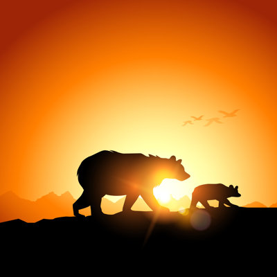 Wild Grizzly Bears by Solarseven - Wrapped Canvas Print