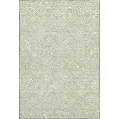 Premium Machine Washable Prisco Aloe Rug