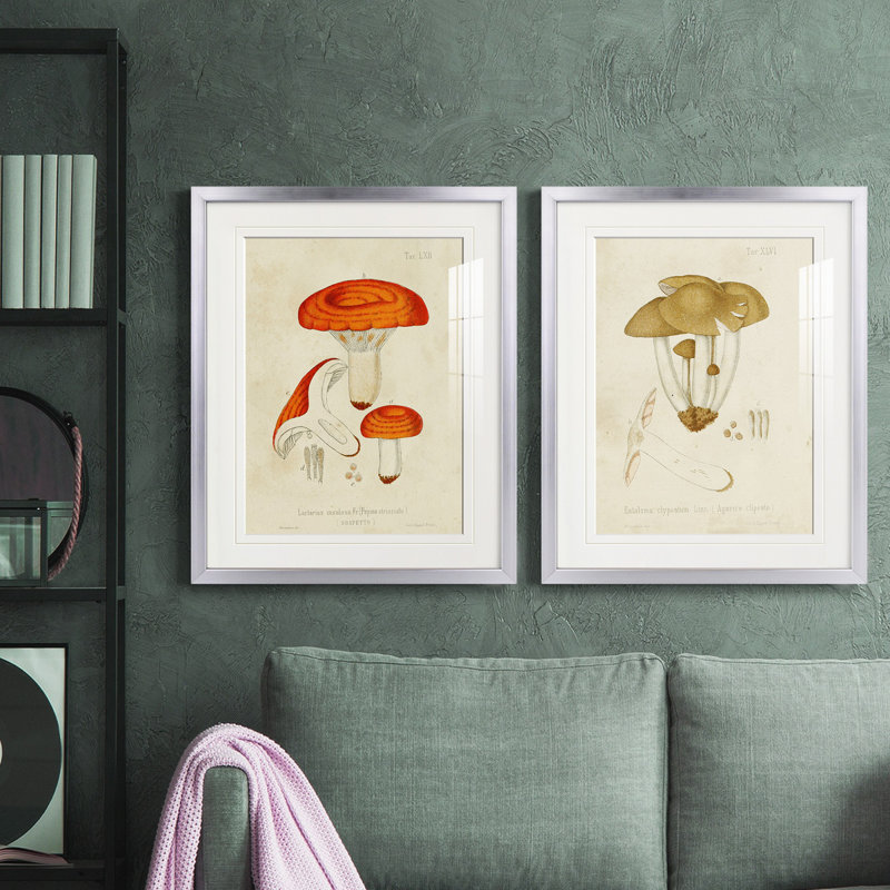 Reproduction encadrée de qualité supérieure Mushroom Variétés