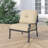 Lebanon Powder Coated Aluminum Outdoor Lounge Chair with Cushions