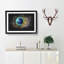 Delicate Peacock Feather Paint Splash - Picture Frame Graphic Art-56915805-56915806