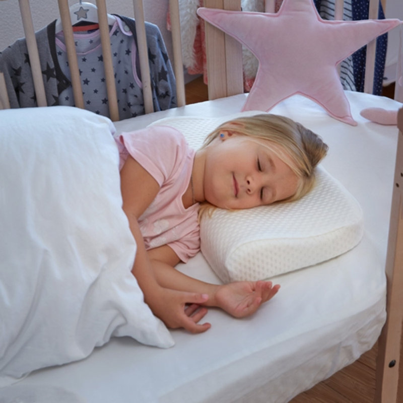 Cheryll Memory Foam Plush Pillow