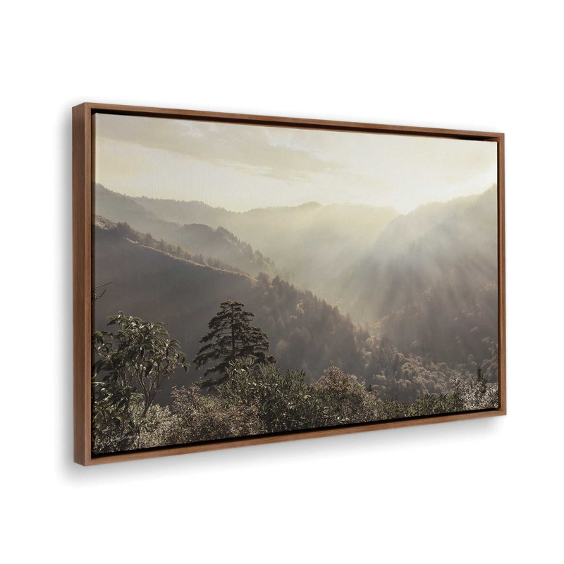 «Misty Sun Rays» par Lori Deiter, reproduction d'art, L 30 po x H 20 po, Brun, Toile avec cadre