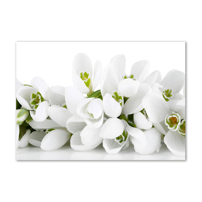 Snowdrops - Wrapped Canvas Print