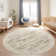 Vintage Distressed Non Slip Washable Rug(Brown)