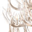 Cheyanne Antler Chandelier