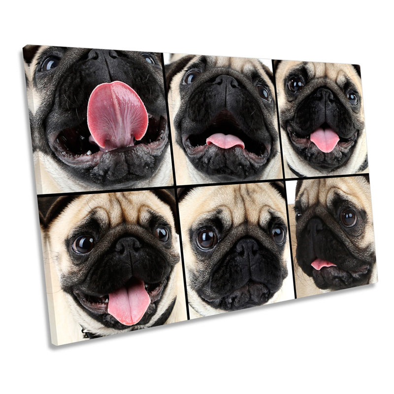 Cute Pug Dog Collage - Wrapped Canvas Print, 30.5cm H x 45.7cm W x 2cm D
