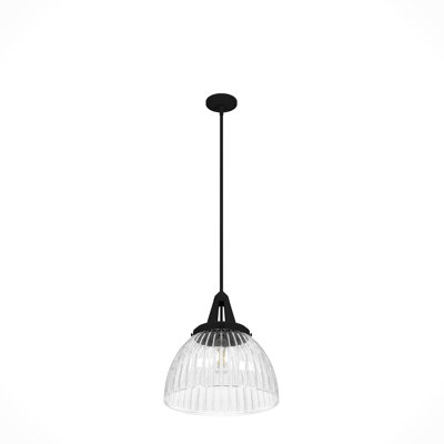 Cypress Grove 1 Light Dome Pendant?