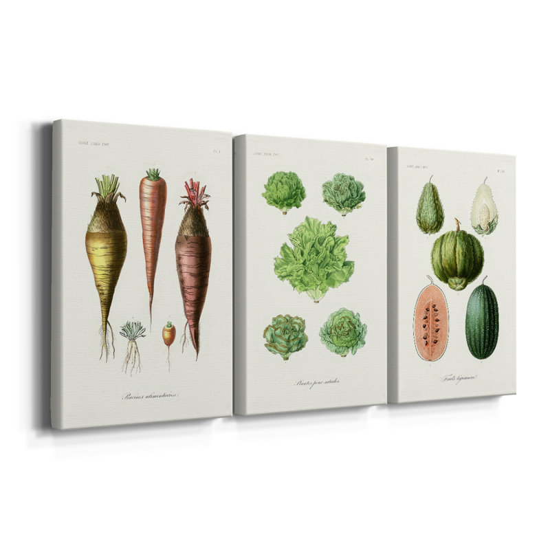 Fruit et légume Variétés VI - Toile tendue sur mesure - 3 pièces, H 12 po x l 24 po