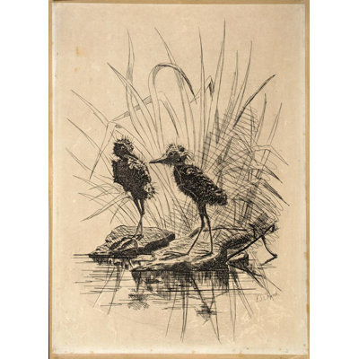 «Two Birds» par Frederick Stuart Church - Art mural sur toile tendue avec châssis