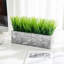 23.11cm Faux Onion Grass Grass