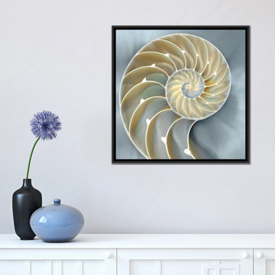 «Nautilus in Blue I», reproduction d'impression sur toile