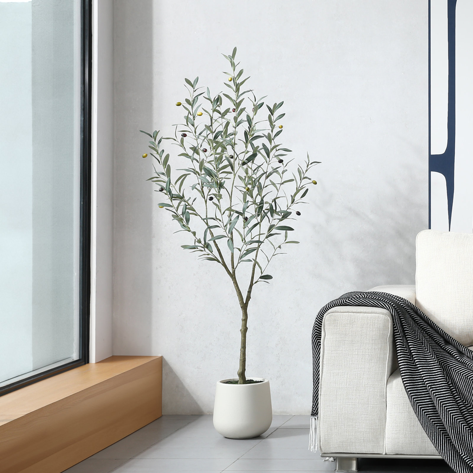 Adcock Olive Tree in Pot, 60" H x 20" W x 20" D
