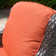 NTC 7 - Person Patio Conversation Sets with Cushions