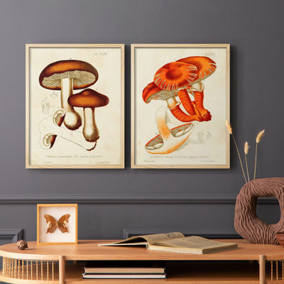 Mushroom Varieties VI-Premium Framed Print -Ready to Hang - No Nails Required - No Nails Required
