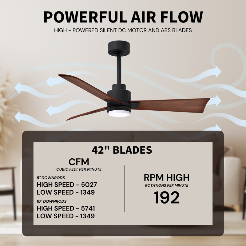 Alessandra - Three Blade Transitional Ceiling Fan -LED, Walnut, Matte Black, 42"
