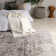 Oriental Indoor Rug