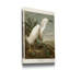 «Pl 242 Snowy Heron», reproduction d'art sur toile tendue-577644809