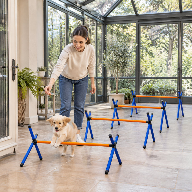 Parcours d'agilité pour chien 4 pièces avec sauts réglables, ensemble d'entraînement portatif et d'intérieur pour chiots et petits chiens